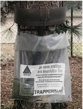 ECOPIEGE TRAPPEPILAR